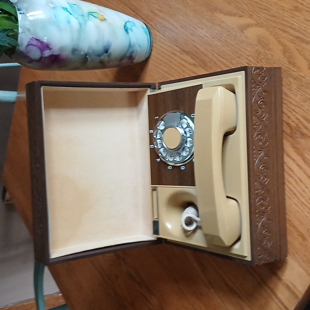 Vintage Rotary Telephone In Case
